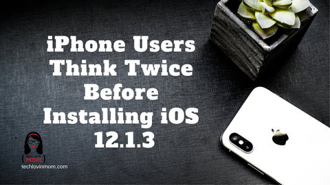 iPhone Users Think Twice Before Installing iOS 12.1.3